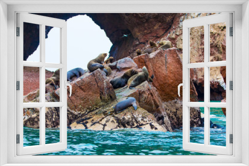 Fototapeta Naklejka Na Ścianę Okno 3D - South American Sea lions relaxing on rocks of Ballestas Islands