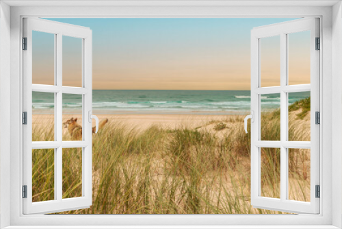 Fototapeta Naklejka Na Ścianę Okno 3D - Dune landscape on Bordeira beach in the Natural Park of Southwest Alentejo and Vicentine coast
Europe Portugal Nature Travel Rota Vicentina Coastal Hiking Trail