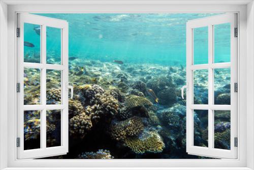 Fototapeta Naklejka Na Ścianę Okno 3D - View of Sharm El Sheik coral reef