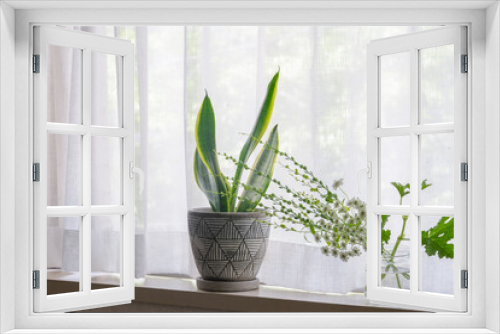 Fototapeta Naklejka Na Ścianę Okno 3D - 観葉植物と花の窓際