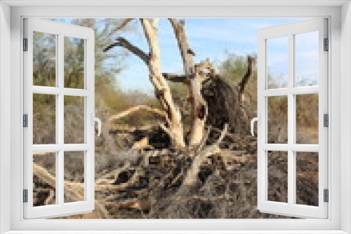 Fototapeta Naklejka Na Ścianę Okno 3D - dead tree in the desert