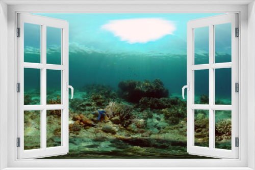Fototapeta Naklejka Na Ścianę Okno 3D - Underwater Colorful Tropical Fishes. Tropical underwater sea fishes. Philippines. Virtual Reality 360.