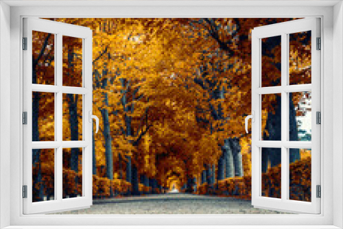Fototapeta Naklejka Na Ścianę Okno 3D - colorful autumn tree alley