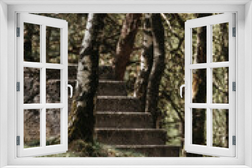 Fototapeta Naklejka Na Ścianę Okno 3D - Stairs in the forest concrete World War Two