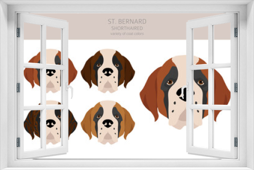 Fototapeta Naklejka Na Ścianę Okno 3D - St Bernard shorthaired coat colors, different poses clipart