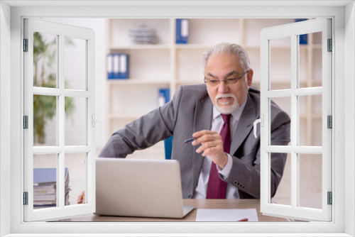 Old male employee working in the office