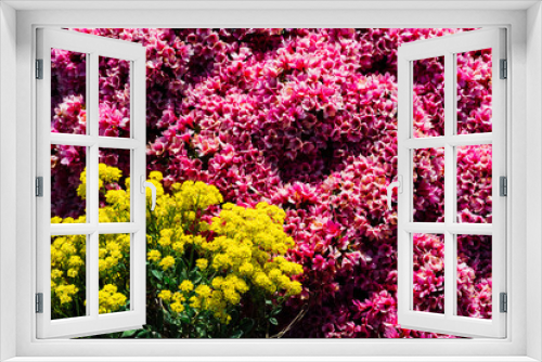 Fototapeta Naklejka Na Ścianę Okno 3D - pink and yellow flowers