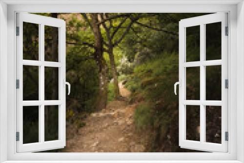 Fototapeta Naklejka Na Ścianę Okno 3D - Camino al paraíso