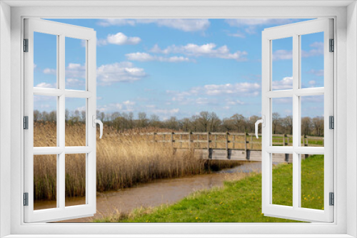 Fototapeta Naklejka Na Ścianę Okno 3D - Spring countryside landscape with flat and low land, Typical Dutch polder with green meadow and wooden bridge with blue sky, Small canal or ditch between the grass field, Drenthe province, Netherlands