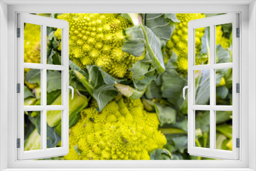 Fototapeta Naklejka Na Ścianę Okno 3D - Cavolfiore (Brassica oleracea botrytis)