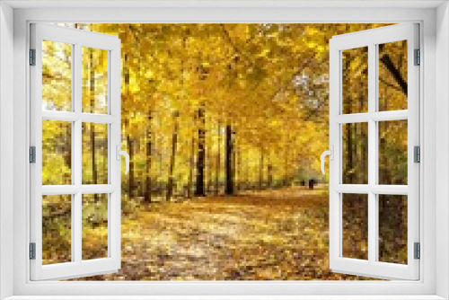 Fototapeta Naklejka Na Ścianę Okno 3D - Yellow Autumn