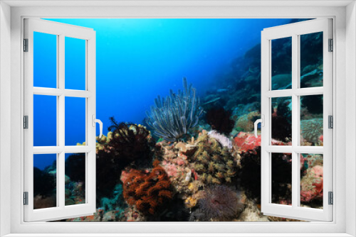 Fototapeta Naklejka Na Ścianę Okno 3D - texture ocean floor background underwater surface