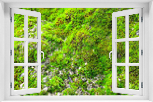 Fototapeta Naklejka Na Ścianę Okno 3D - green moss growing on a rock mound