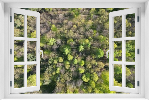 Fototapeta Naklejka Na Ścianę Okno 3D - las liściasty : widok w doł #3