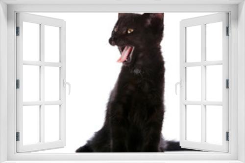 Fototapeta Naklejka Na Ścianę Okno 3D - Yawning black kitten.