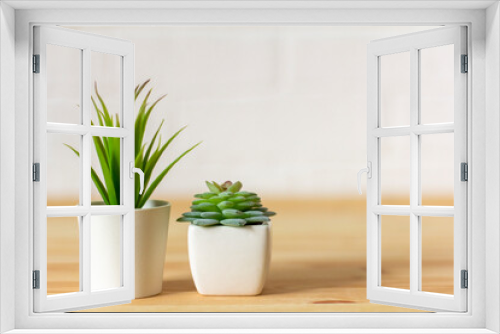 Fototapeta Naklejka Na Ścianę Okno 3D - .Indoor artificial plants, various succulents in pots. Succulents in white mini-pots. Ideas for home decoration.Copy space .