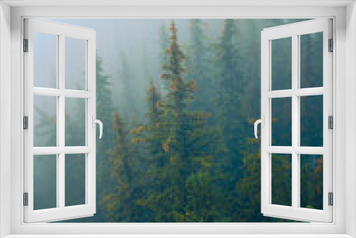 Fototapeta Naklejka Na Ścianę Okno 3D - Foggy Day at Banff, Alberta, Canada