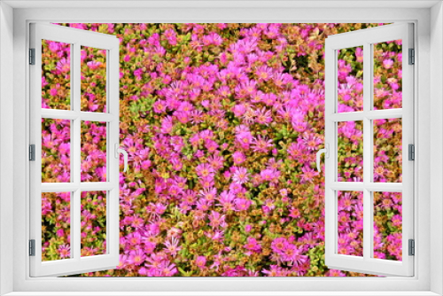 Fototapeta Naklejka Na Ścianę Okno 3D - Flowers carpet. Pink background.