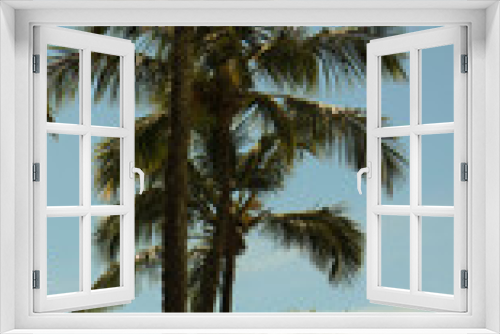 Fototapeta Naklejka Na Ścianę Okno 3D - Coqueiras e palmeiras na praia de Riviera de São Lourenço em Bertioga - SP - Brasil captada em um dia de céu azul. 
