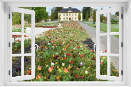 Fototapeta Naklejka Na Ścianę Okno 3D - gardens park with flower bed in village Bad Rappenau in Germany