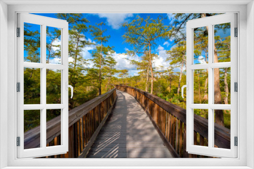 Fototapeta Naklejka Na Ścianę Okno 3D - Bridge in a forest