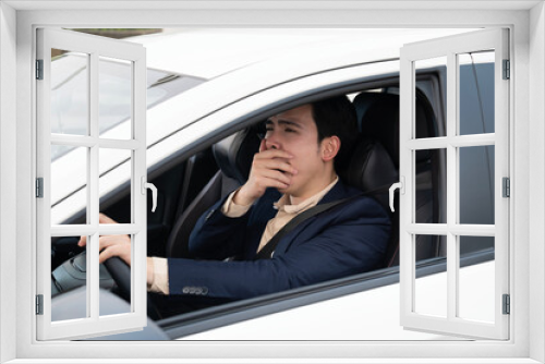 Young Asian business man with car