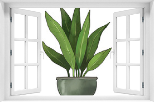 Fototapeta Naklejka Na Ścianę Okno 3D - Cartoon potted house plant aspidistra tall or cash iron