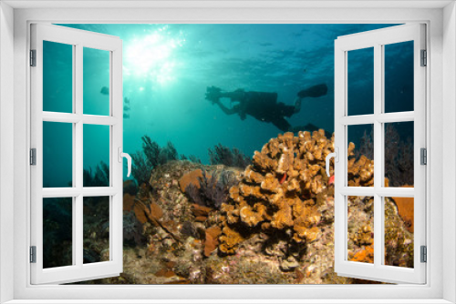 Fototapeta Naklejka Na Ścianę Okno 3D - Pacific reefs