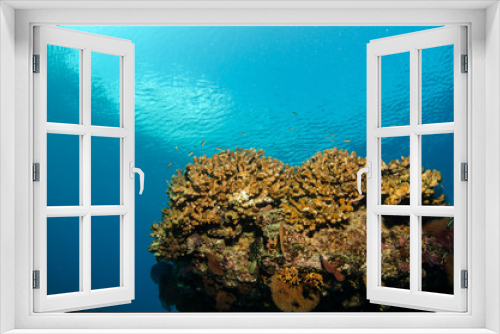 Fototapeta Naklejka Na Ścianę Okno 3D - Views from pacific reefs