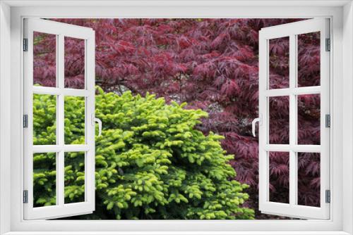 Fototapeta Naklejka Na Ścianę Okno 3D - kolorowe, kwitnące drzewa w parku