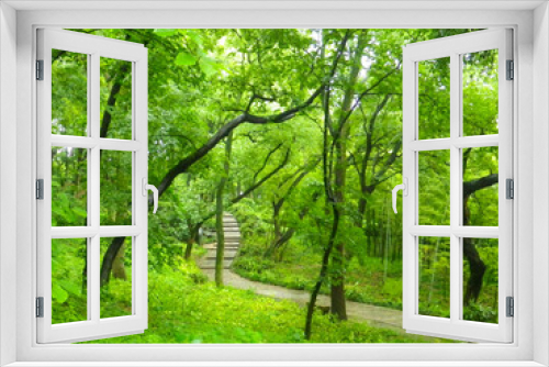 Fototapeta Naklejka Na Ścianę Okno 3D - path through the green forest