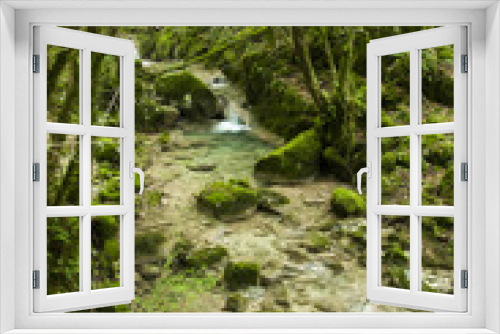 Fototapeta Naklejka Na Ścianę Okno 3D - Verde natura