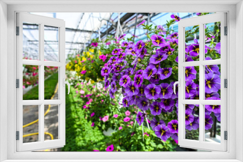 Fototapeta Naklejka Na Ścianę Okno 3D - greenhouses for growing flowers