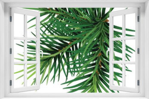 Fototapeta Naklejka Na Ścianę Okno 3D - Christmas tree branch. Hand painted Christmas fir branch  isolated. Botanical illustration. Holiday print for design. Close-up. New Year.On transparent. PNG 