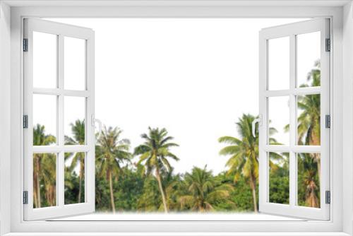 Fototapeta Naklejka Na Ścianę Okno 3D - Palm trees in summer on transparent  background with clipping path and alpha channel.