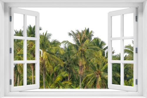 Fototapeta Naklejka Na Ścianę Okno 3D - Palm trees in summer on transparent  background with clipping path and alpha channel.