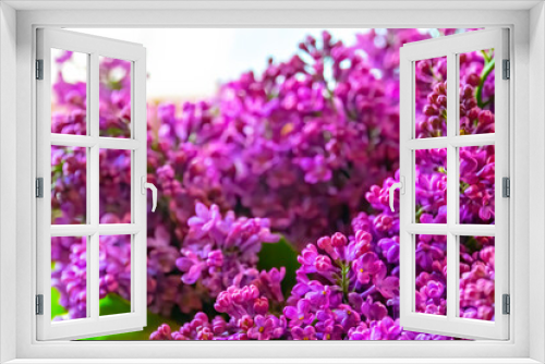 Fototapeta Naklejka Na Ścianę Okno 3D - Purple lilac flowers background. Spring background