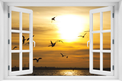 Fototapeta Naklejka Na Ścianę Okno 3D - Sunset. Birds silhouettes and sun