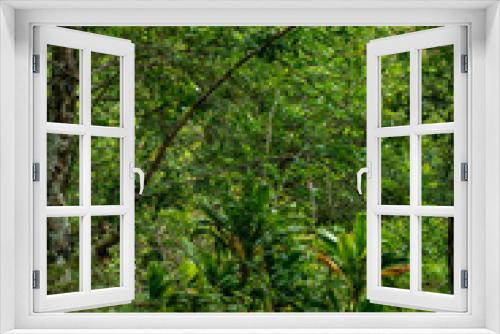 Fototapeta Naklejka Na Ścianę Okno 3D - Lush green trees on the Kalalau Trailhead in Kauai, Hawaii