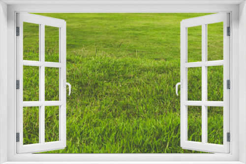 Fototapeta Naklejka Na Ścianę Okno 3D - green grass texture. for background.