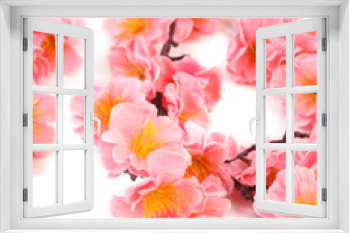 Fototapeta Naklejka Na Ścianę Okno 3D - Close up of pink flowers.