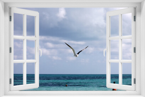 Fototapeta Naklejka Na Ścianę Okno 3D - Seagull flying over sea waves and swimming people on background of blue sky with white clouds