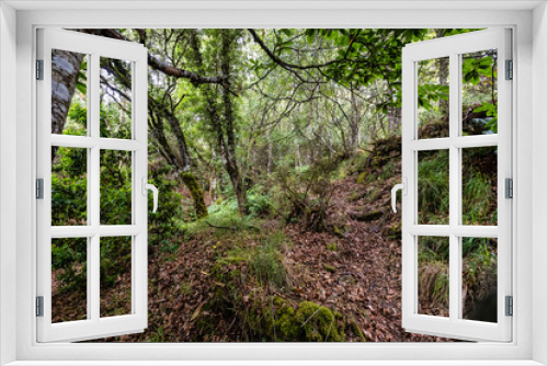 Fototapeta Naklejka Na Ścianę Okno 3D - Hiking through the Canyon del Sil in Parada de Sil in Galicia, Spain, Europe