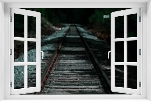 Fototapeta Naklejka Na Ścianę Okno 3D - Vertical shot of railway tracks in a forest