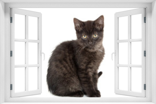 Fototapeta Naklejka Na Ścianę Okno 3D - Cute black kitten
