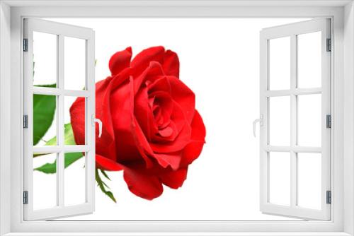 Fototapeta Naklejka Na Ścianę Okno 3D - Red rose