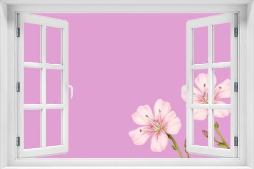 Fototapeta Naklejka Na Ścianę Okno 3D - Pink flowers with plain background