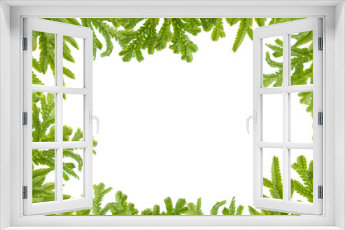 Fototapeta Naklejka Na Ścianę Okno 3D - Green fern  leaves frame