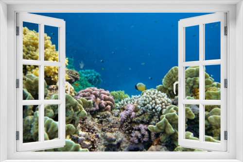 Fototapeta Naklejka Na Ścianę Okno 3D - Underwater world with coral  and tropical fish.