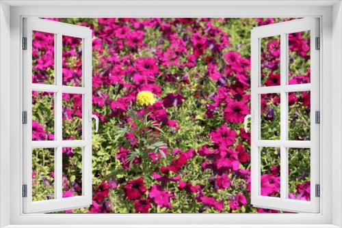 Fototapeta Naklejka Na Ścianę Okno 3D - pink flowers in the garden
